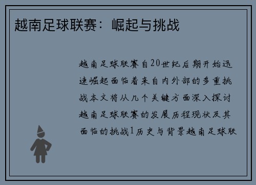 越南足球联赛：崛起与挑战