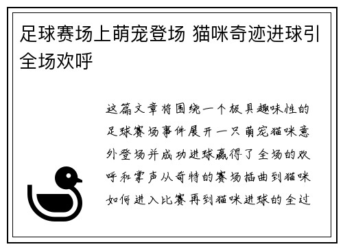 足球赛场上萌宠登场 猫咪奇迹进球引全场欢呼