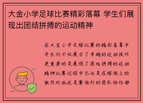 大金小学足球比赛精彩落幕 学生们展现出团结拼搏的运动精神