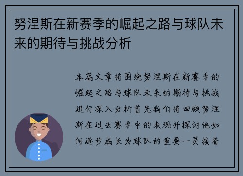 努涅斯在新赛季的崛起之路与球队未来的期待与挑战分析