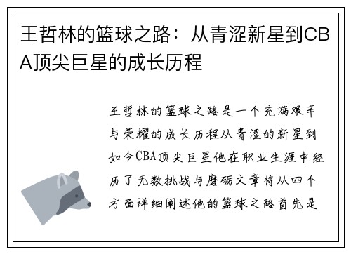王哲林的篮球之路：从青涩新星到CBA顶尖巨星的成长历程