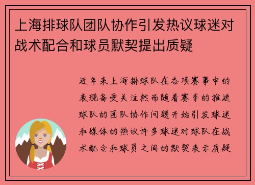 上海排球队团队协作引发热议球迷对战术配合和球员默契提出质疑